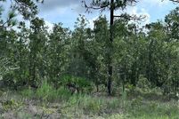 Undeveloped Land for sale in Hernando County, Florida
