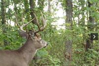 Property for sale in Polk County, Wisconsin