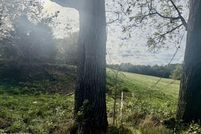 Property for sale in Claiborne County, Tennessee