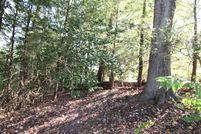 Undeveloped Land for sale in Raleigh County, West Virginia