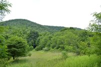 Undeveloped Land for sale in Pocahontas County, West Virginia