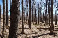 Property for sale in Pocahontas County, West Virginia