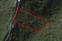 Undeveloped Land for sale in Lincoln County, West Virginia
