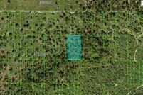 Undeveloped Land for sale in Polk County, Florida