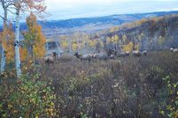 Property for sale in Routt County, Colorado