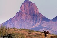 Property for sale in Pima County, Arizona