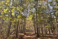 Undeveloped Land for sale in Waldo County, Maine
