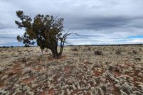 Property for sale in Coconino County, Arizona