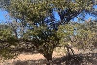 Property for sale in Coconino County, Arizona