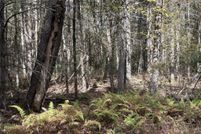 Property for sale in Sullivan County, New York