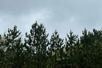 Property for sale in Oneida County, Wisconsin