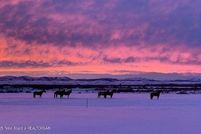 Lakefront Property for sale in Sublette County, Wyoming