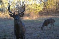 Property for sale in Labette County, Kansas