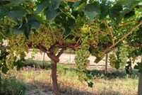 Property for sale in Tulare County, California