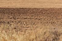 Undeveloped Land for sale in Tulare County, California