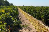 Property for sale in Fresno County, California