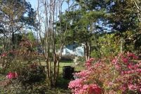 Property for sale in Marion County, Georgia