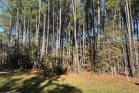 Undeveloped Land for sale in Jasper County, South Carolina