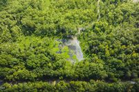 Undeveloped Land for sale in Gibson County, Tennessee