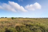 Undeveloped Land for sale in Hamilton County, Texas