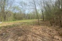 Undeveloped Land for sale in McDonald County, Missouri