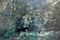 Property for sale in Douglas County, Wisconsin