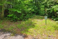 Undeveloped Land for sale in Madison County, North Carolina