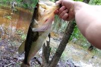 Property for sale in Freestone County, Texas