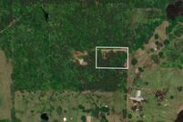 Undeveloped Land for sale in Titus County, Texas