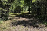 Undeveloped Land for sale in Fannin County, Texas