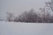 Property for sale in Wayne County, Michigan