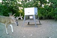 Property for sale in Comanche County, Texas