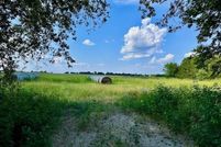 Undeveloped Land for sale in Fannin County, Texas