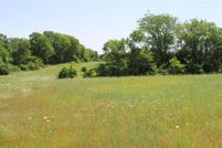 Undeveloped Land for sale in Fannin County, Texas