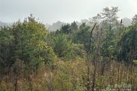 Undeveloped Land for sale in Burke County, North Carolina