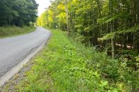 Undeveloped Land for sale in Delaware County, New York