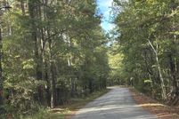 Undeveloped Land for sale in Clarendon County, South Carolina
