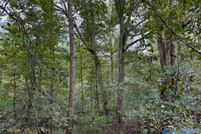 Undeveloped Land for sale in Lawrence County, Alabama