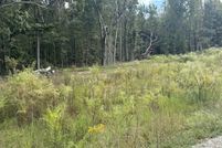 Undeveloped Land for sale in Clarendon County, South Carolina