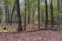 Undeveloped Land for sale in Cumberland County, Pennsylvania