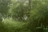 Undeveloped Land for sale in Wirt County, West Virginia