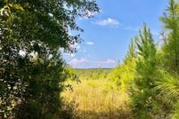 Undeveloped Land for sale in Escambia County, Florida