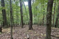 Undeveloped Land for sale in Randolph County, West Virginia