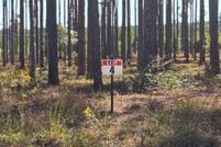 Undeveloped Land for sale in Sabine Parish, Louisiana