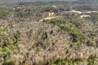 Undeveloped Land for sale in Fannin County, Georgia