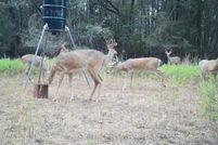 Property for sale in Greer County, Oklahoma