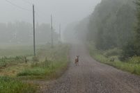 Property for sale in Price County, Wisconsin