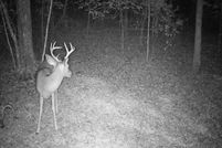 Property for sale in McDowell County, North Carolina