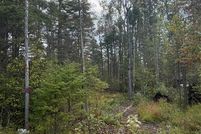Undeveloped Land for sale in Montmorency County, Michigan