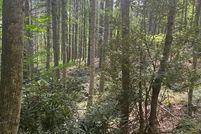 Property for sale in Ashe County, North Carolina